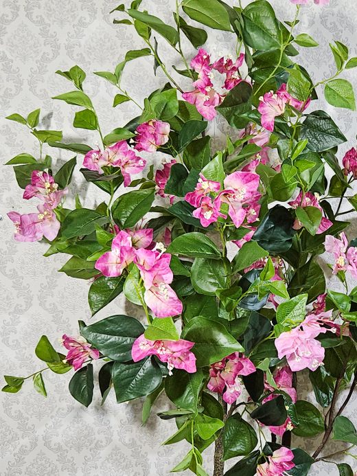 Бугенвиллия дерево 150см малиновая в кашпо