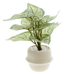 GAEM Цветочная композиция "Каладиум", L20 W20 H21 см