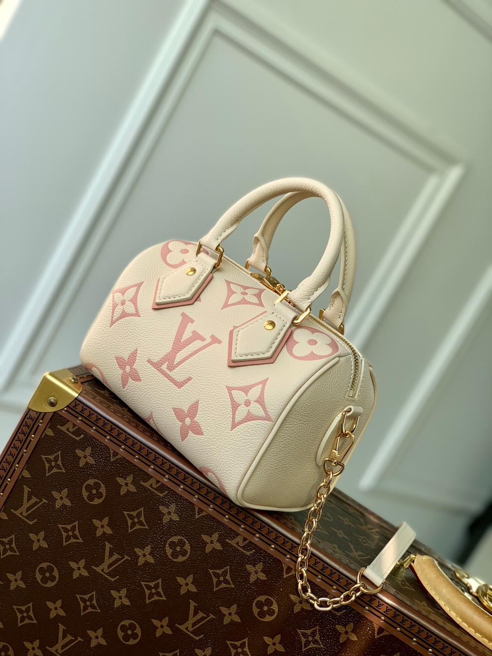 Louis Vuitton Speedy 20