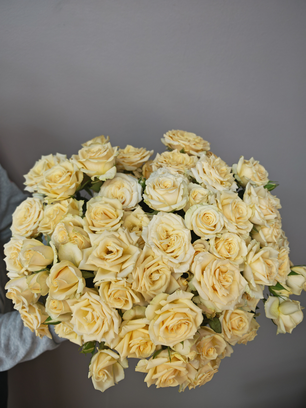 Кустовая роза