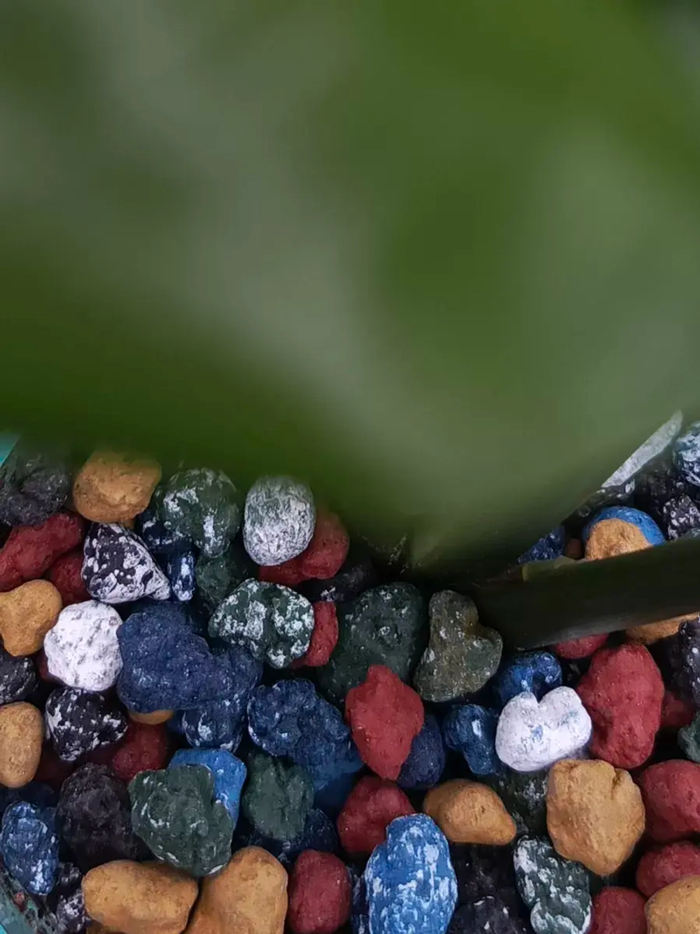 Цветной дренаж цвет микс