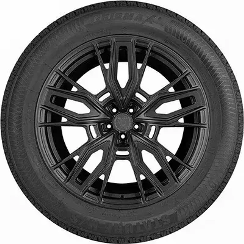 Gripmax Stature M/S 275/40 R20 106V XL