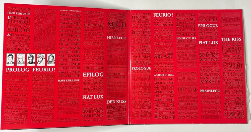 Винтажная виниловая пластинка LP Einsturzende Neubauten Haus Der Luege (Germany 2010)