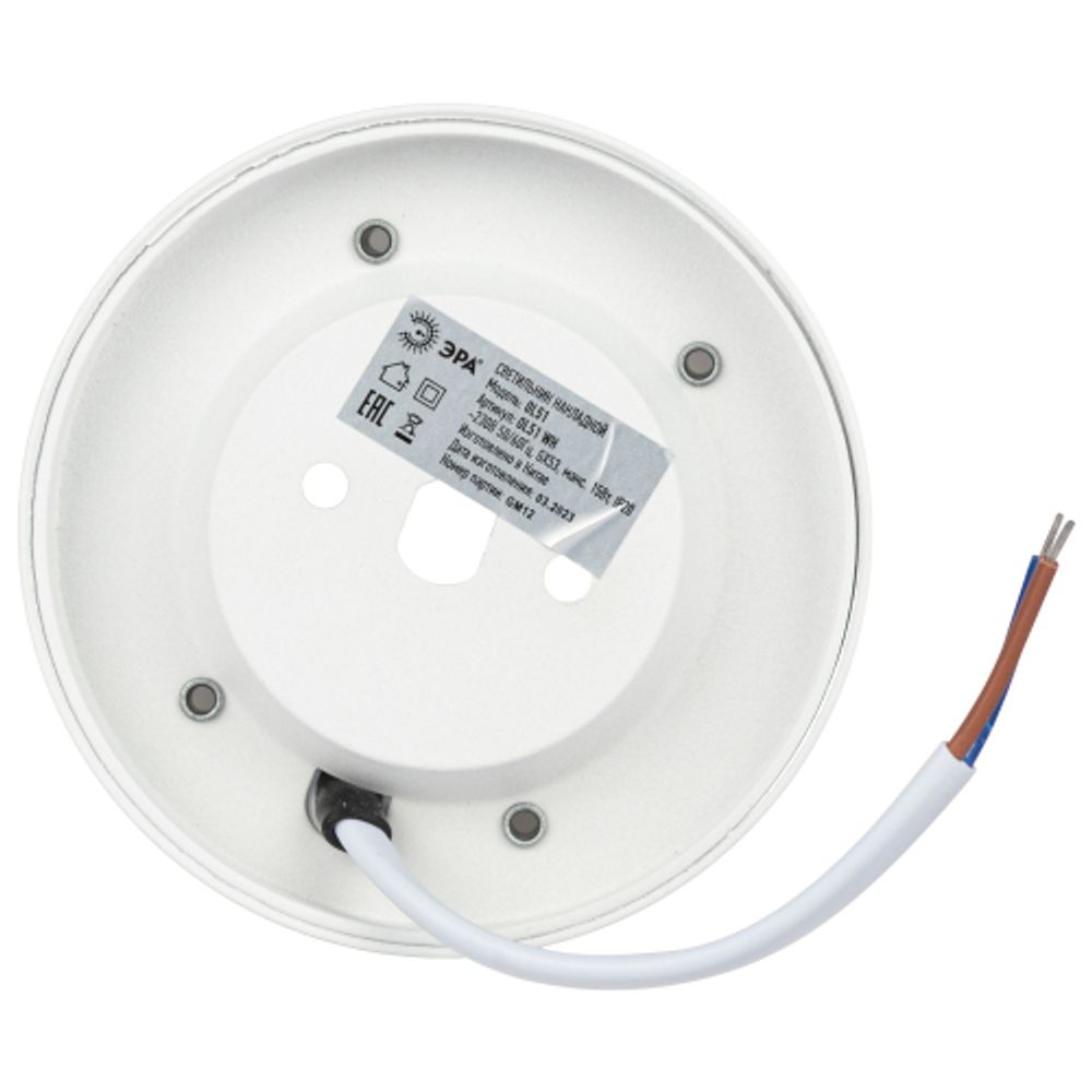 Светильник настенно-потолочный спот ЭРА OL51 WH GX53 IP20 белый | Накладные светильники