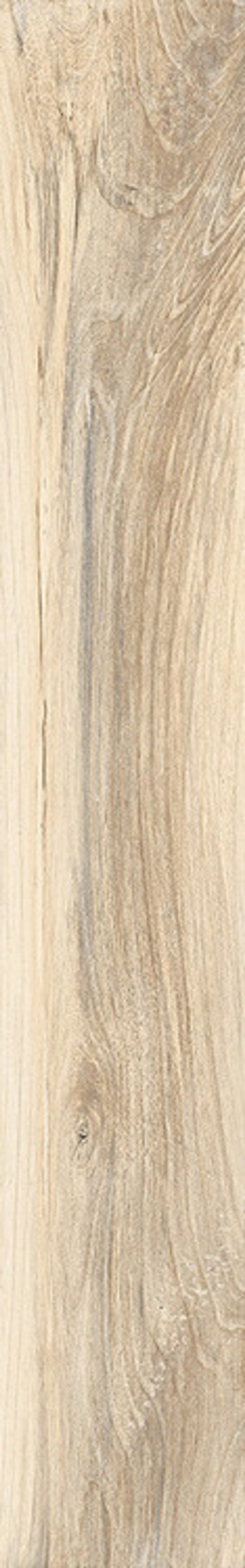 Rondine Hard Soft Cream 15x100