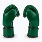 Боксёрские перчатки Fairtex Real Leather Boxing green