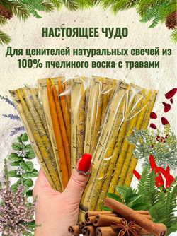 Свечи "Чудеса из леса"