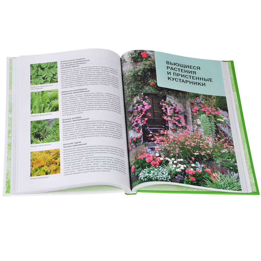 Большая книга цветовода