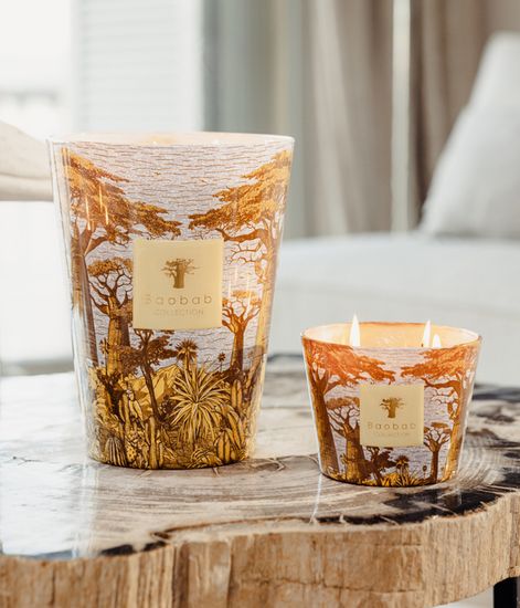 Cocody, свеча MAX 16 Sacred Trees collection, Baobab Collection