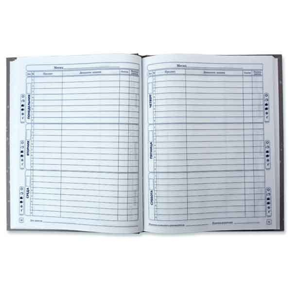 Дневник для младших классов, 48л. Апплика "Лисёнок", 7БЦ, глянц. лам.