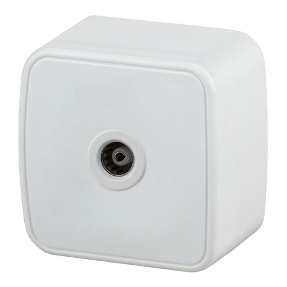 Розетка Intro Polo 3-301-01 TV одиночная, IP20, ОУ, белый | Intro Polo