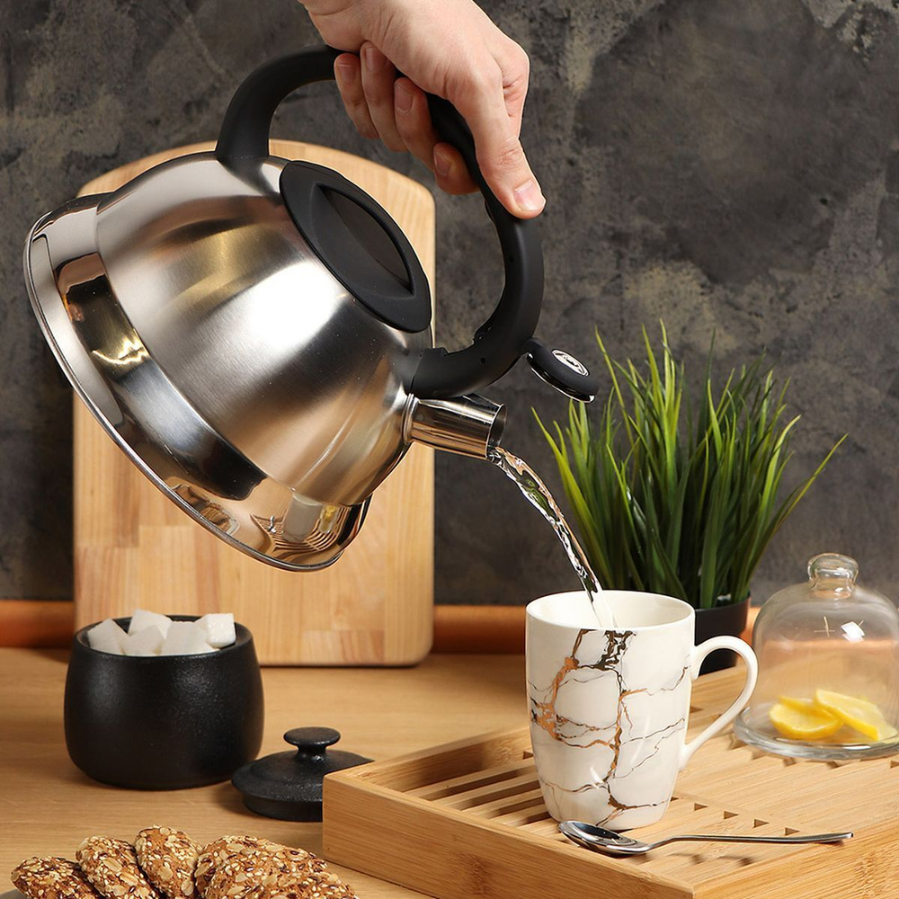 Чайник нерж, 3 л, свист, мат, ручк с силик покр, Daniks, MSY-013