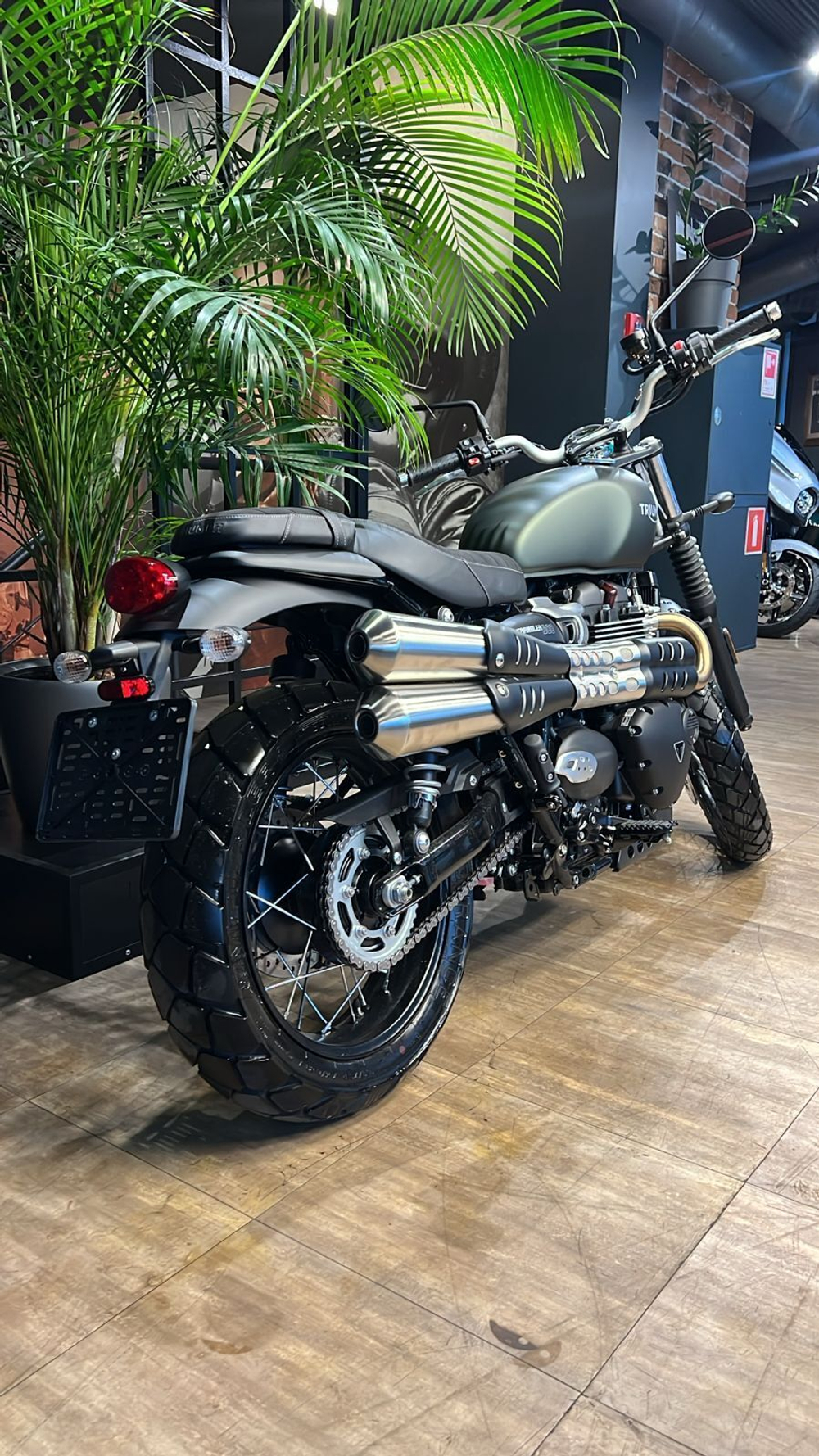 Triumph Street Scrambler 900 2025