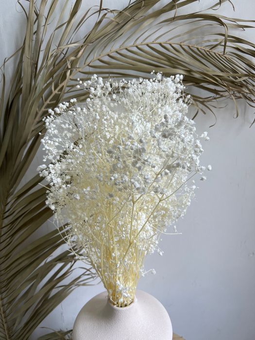 Стабилизированные цветы и зелень – купить в магазине | Dried Flowers Moscow