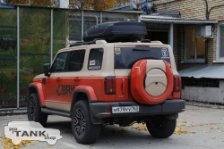 Накладки на расширители арок BRM для TANK 300 2021-2024г. (Чарский Оранж Orange (2Y))