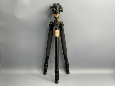 QZSD-01A Zhuangshi Daiqing