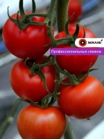 Томат красный Анкато F1 (25шт.)
