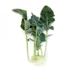 Едер рз F1 семена капусты кольраби (Rijk Zwaan / Райк Цваан)