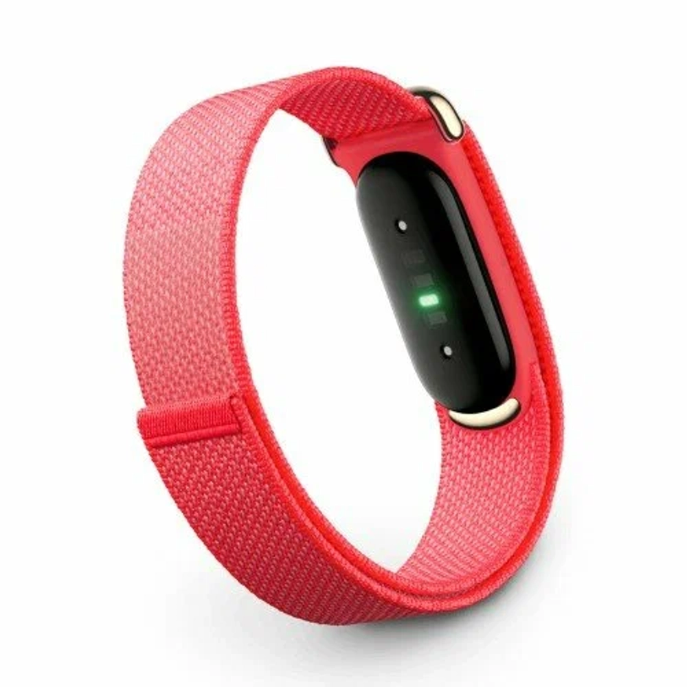 Google Fitbit Air