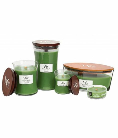 Вечнозеленая ель, ароматическая свеча, WoodWick