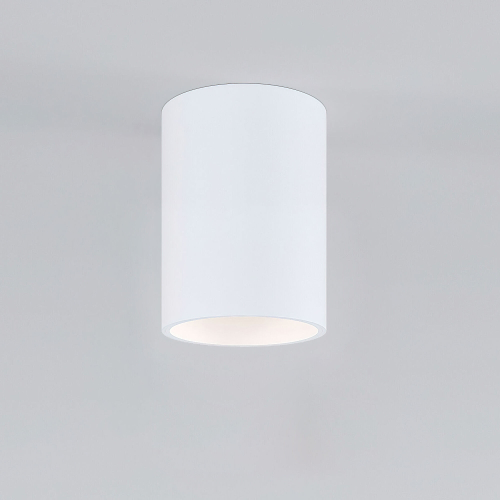 Накладной светильник Elektrostandard Porter 25011/01 белый