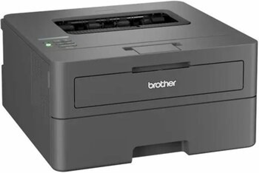 Лазерный принтер Brother HL-L2400DW