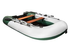 Лодка ПВХ ТРИТОН 315 (2024)