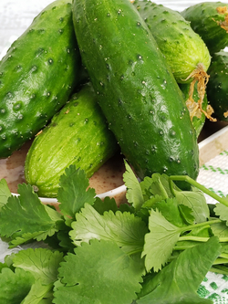 Огурцы салатные 500 - 600 гр.