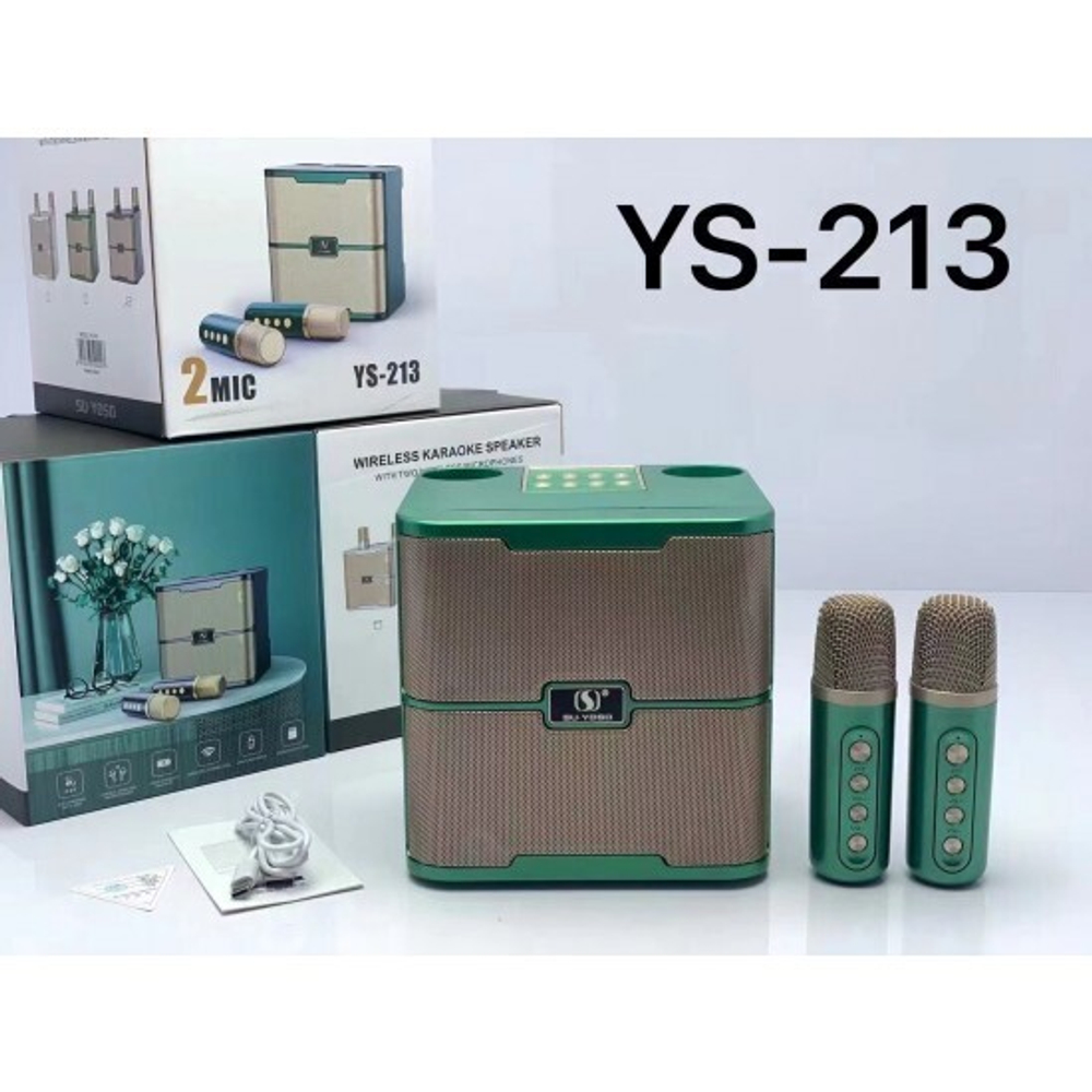 Портативная колонка YS-213 (караоке), 013330 Зеленый
