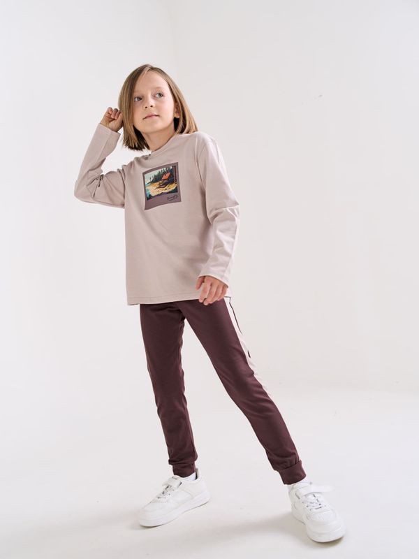 Брюки с лампасами 