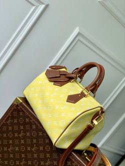 Louis Vuitton Speedy P9 Bandouliere 30