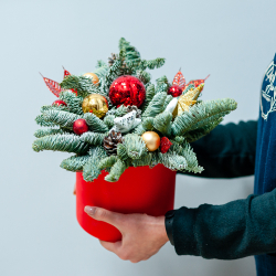 Новогодняя композиция из нобилиса 9