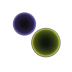 Настенный дизайнерский светильник Futon by Intra Lighting