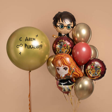 Гарри Поттер и Волшебница №2 Композиция