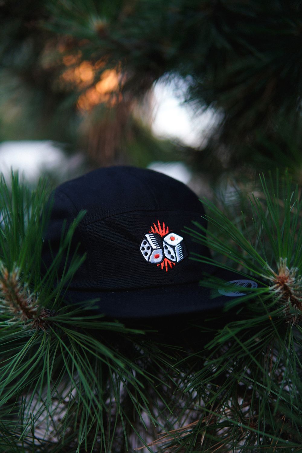 Кепка Old Lizard 5-panel cap Bones Черная