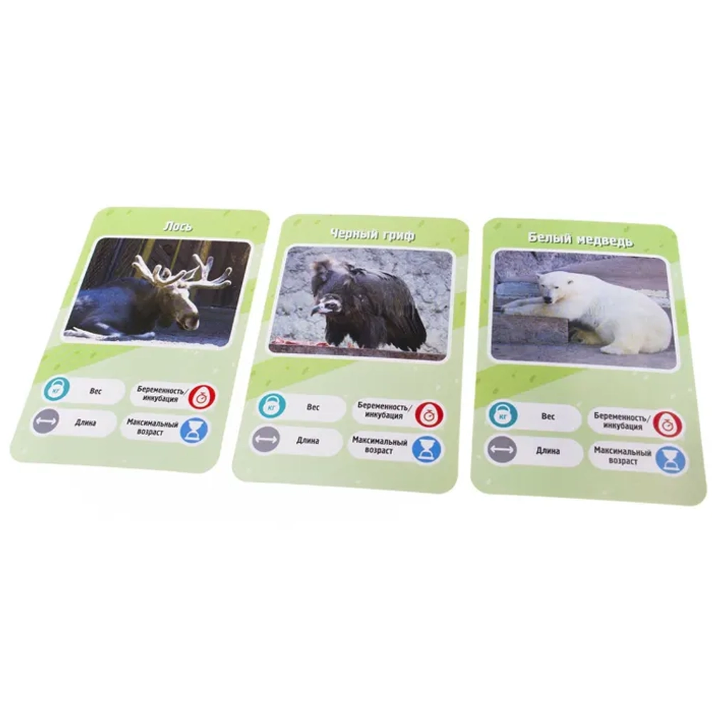 Настольная карточная игра Это факт! ЗООПАРК
