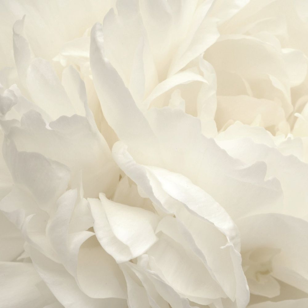 Atmosphere панно