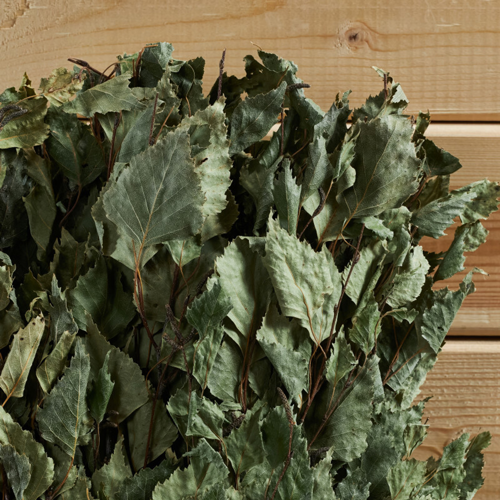 Веник берёзовый «Отборный»_4.jpg