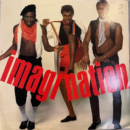 Виниловая пластинка IMAGINATION - IMAGINATION LP