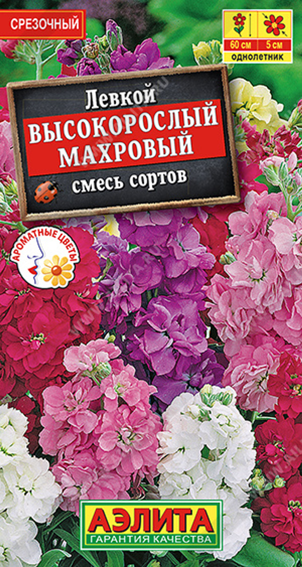 Левкой Высокорослый махровый, смесь сортов