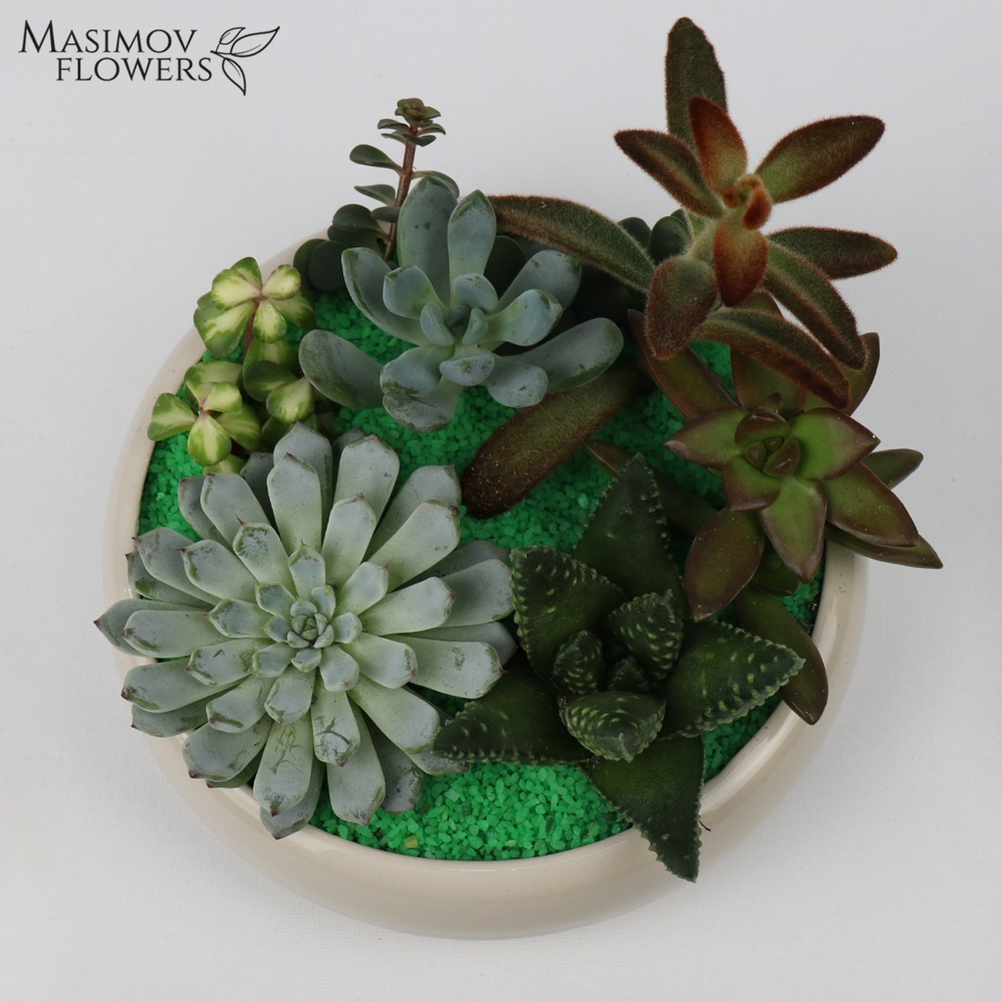 Цветы в доме: 5 ошибок, которые убивают даже «неубиваемые» растения