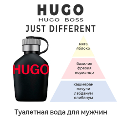 Hugo Boss Hugo Just Different — туалетная вода для мужчин. Описание аромата.