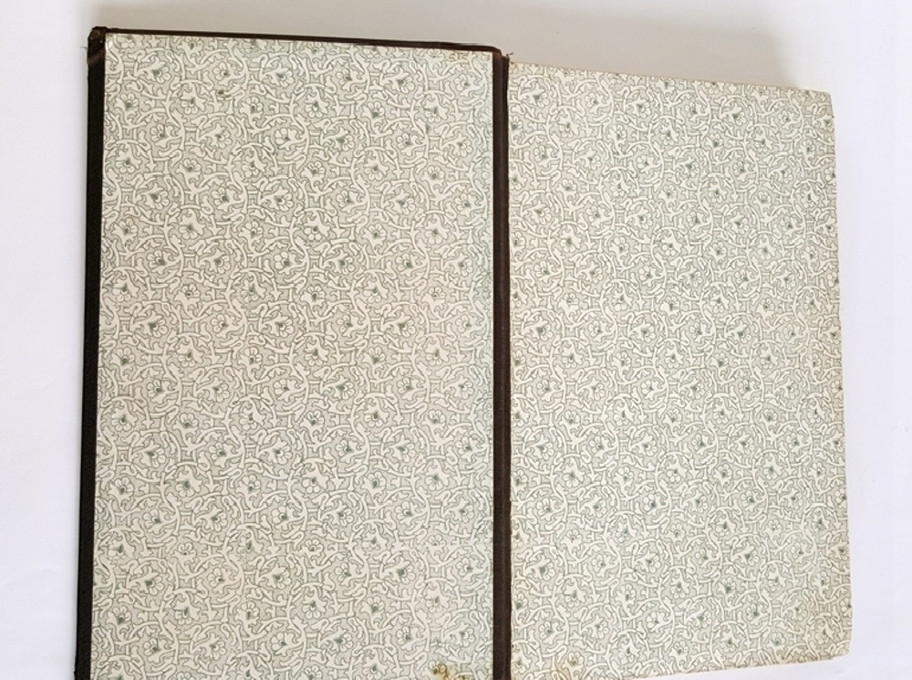 "История земли и жизни. Законы образования пустынь в настоящее и прошлое время". Иоганн Вальтер, профессор геологии и палеонтологии. 1911г. - антикварное издание