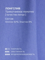 Лонгслив для девочки голубой