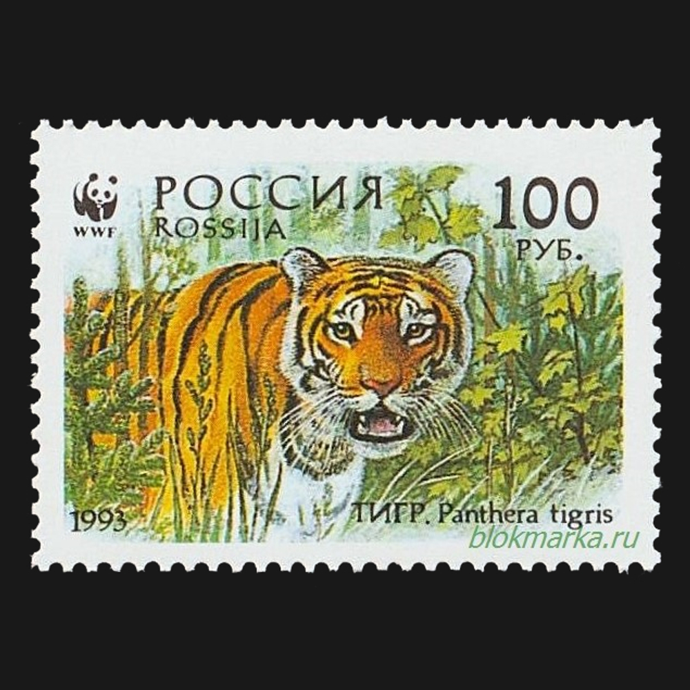 Россия 1993 г № 124-127 Серия Уссурийский тигр Чистая MNH **