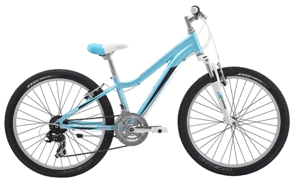 Fuji dynamite 24 comp new arrivals