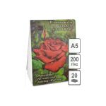 Планшет для акварели А5, 20л, 200гр/м, Лилия Холдинг Алая роза, скорлупа