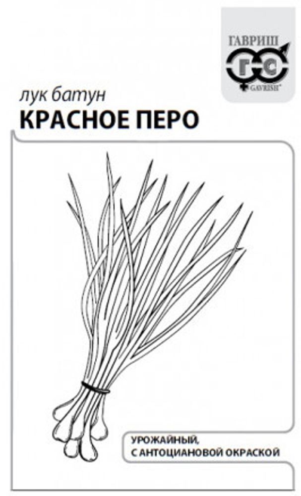 Лук на зелень Красное Перо 0.5г б/п с евроотв.Гавриш