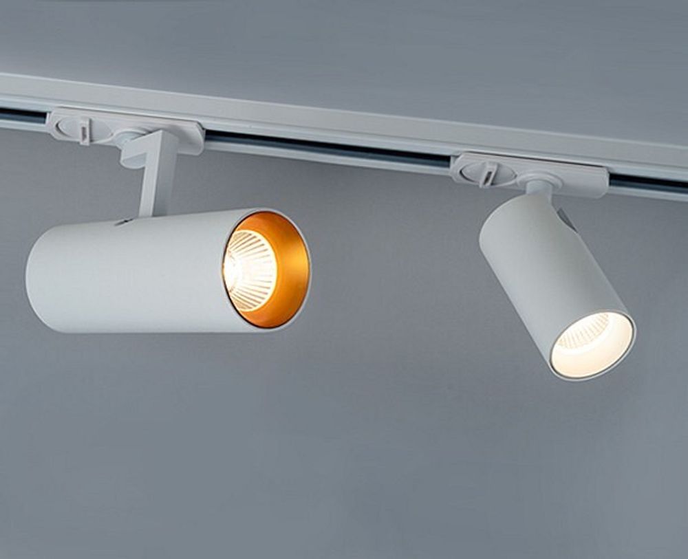 Кольцо декоративное Italline Ring Ring for 15W gold