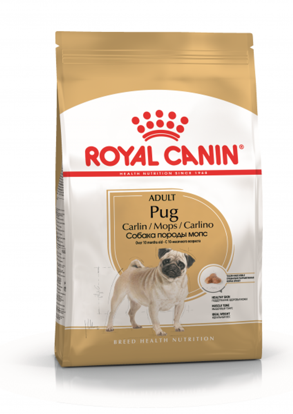 Royal Canin корм сухой для взрослых собак породы мопс